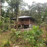 Finca Las Palmas Ecolodge, ξενοδοχείο σε Puyo