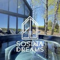 Sosina Dreams, hotel en Jaworzno
