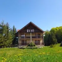 Cabana Andrea, ξενοδοχείο σε Arpaşu de Sus