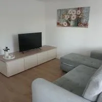 Apartmaji pri Pinku, hotel u gradu Breginj