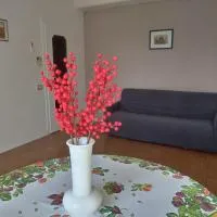 Scer GEA, hotel a Cerro Maggiore