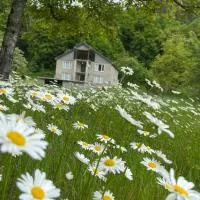 Guest House Tobuldar, hotel en Kʼveda Marghi
