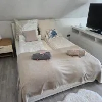 Helles & großes 24 qm Zimmer in Wackersdorf mieten, khách sạn ở Wackersdorf