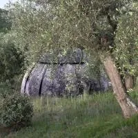 Cosmo Camp, hotel di Montepescali
