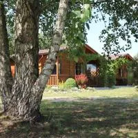 Domki pod Brzozami w Firleju, hotel a Firlej