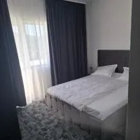 Pensiunea casa duculescu, hotell i Ocnele Mari