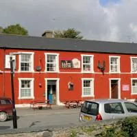 Y Llew Coch Tregaron, hotel en Tregaron