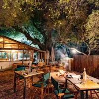 Ndzhaka Tented Camp, hotel a Manyeleti Game Reserve