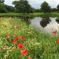 Ashbrook House Apartments, hotel a Dungannon