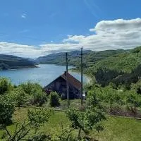 Apartmani Vlatkovic 1 Zavojsko jezero, hotel sa Pirot