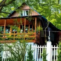 Wooden House in Kiketi, hotel u gradu 'Kiketʼi'