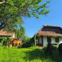 Fecskefészek Vendégház Őriszentpéter, hotel di Őriszentpéter