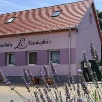 Levendula Vendégház - Bezi, hotel v destinaci Bezi