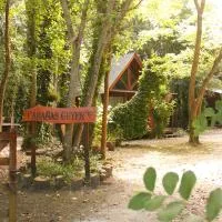Cabañas Cuyen, hotel u gradu 'Punta Indio'