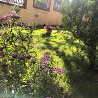 Villa Vanessa, hotel in Spoltore