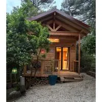 Chalet Sous les Pins, Hotel in Pont-Saint-Esprit