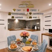 Apartament Silver - Głuszyca - Góry Sowie, hotel v mestu Głuszyca