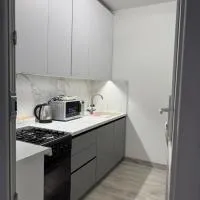 AeroHome Moldova- TAXI-PARKING !, hotel Kisjenőben