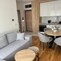 Zizileja Apartments with Spa and Parking in the centre، فندق في زلاتيبور