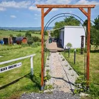 Ranch 66 - Wellness Tiny House Black Swallow ve stylu Route 66 se saunou, koupacím sudem a bazénem, hotel din Tršice