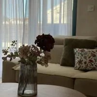 Novia Apartment 22 – hotel w mieście Ðenovići