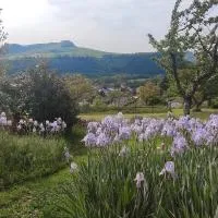 Maisonnette de vignes avec vue imprenable、マルブジョルのホテル