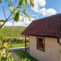 ISSA Village, hotel en Turda