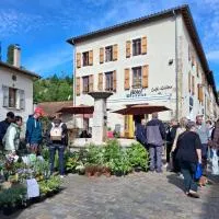 Hôtel Bistrot Les Tanins, готель у місті Saint-Antoine