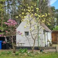 Viesnīca Tiny house im Wingster Forst pilsētā Wingst