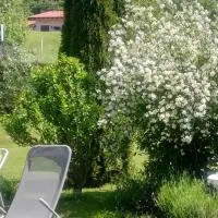Apartma Deni, hotel a Jelšane