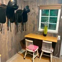 Easy stay in horse ranch, Hotel in Lieplaukė