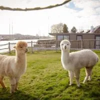 De Waterlodge - Uniek verblijf aan het water, hotel em Franeker