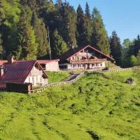 Rifugio Escursionistico Monte Pura, hotel em Clendis