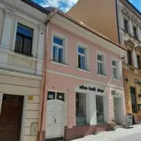 Apartmán Růženka Písek, khách sạn ở Písek