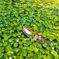 Lotus Hotel Vuon Vua Phu Tho、Phú Thọのホテル