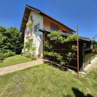 Casa Alina, ξενοδοχείο σε Arpaşu de Sus