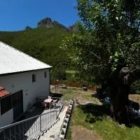 Aldo House: Prekal şehrinde bir otel