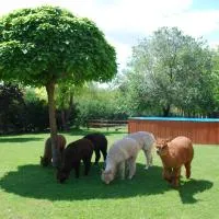 Alpacacamp, hotel sa Helvécia