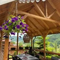 Chalet Husky-Pet Friendly&Private, отель в городе Şotrile