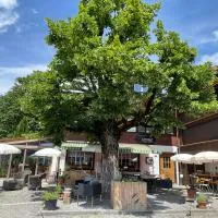 Gasthof Tenne - Ferie mit Härz, ξενοδοχείο σε Lenk