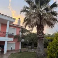 Olea House, hotel v destinácii Alexandrupoli