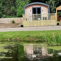 'Cosy Gem' Cabin Woodland Retreat Randalstown NI, hotell sihtkohas Whitesides Corner