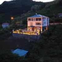 Villa Deluxe Panorama 61, hotel di Trabzon