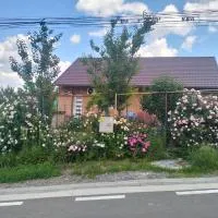 Garsoniera 20m2 anexată la casa proprietarului, hotel sa Botosani