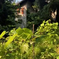 La casa nel bosco - Brione, מלון בBrione