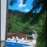 Відпочинок у Карпатах, hotel v destinaci Mykulyčyn
