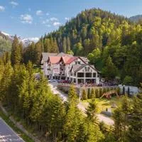 Piscul Negru Hotel - Transfagarasan، فندق في Cumpăna