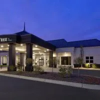 DoubleTree by Hilton Hotel Detroit Novi, hotel en Novi