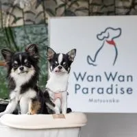 Wan Wan Paradise Matsusaka, hotell i Matsuzaka