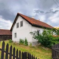 Dom Podróżnika -aktywne wakacje，Jabłonowo的飯店